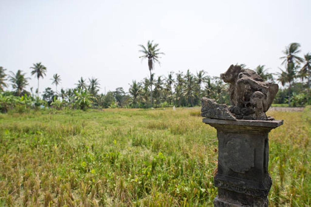 Villa Nyoman Ubud Extérieur photo